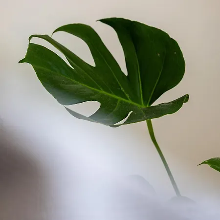 Vip Lubelska Ii アパート