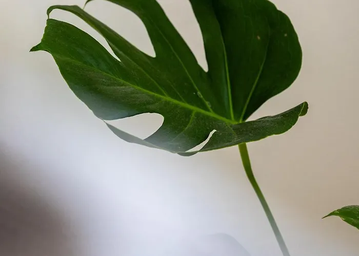 Vip Lubelska Ii 아파트